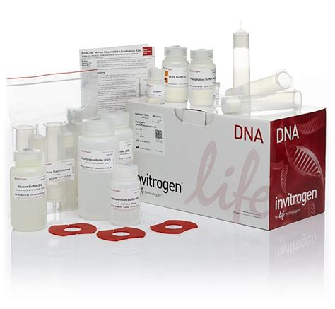 purelink rna mini kit|purelink hipure plasmid midiprep kit.